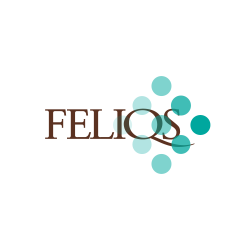 Feliqs Corporation